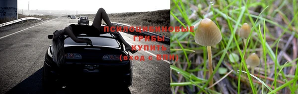 меф Алзамай