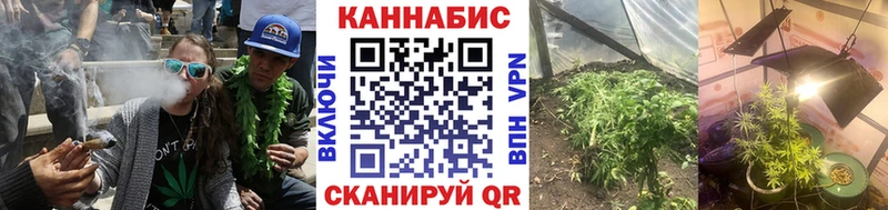 Бошки Шишки VHQ  Нижние Серги 